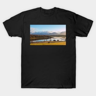 Beautiful norwegian scenery. Mountains in background. Horses are on the farm near river T-Shirt